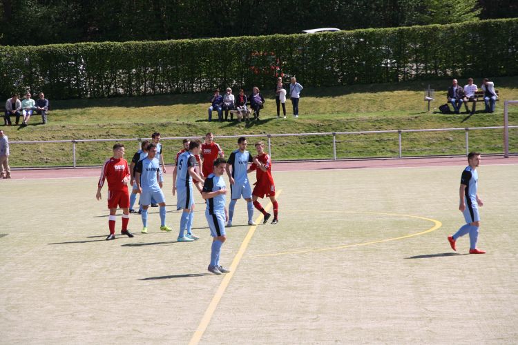 IMG 8823.JPG