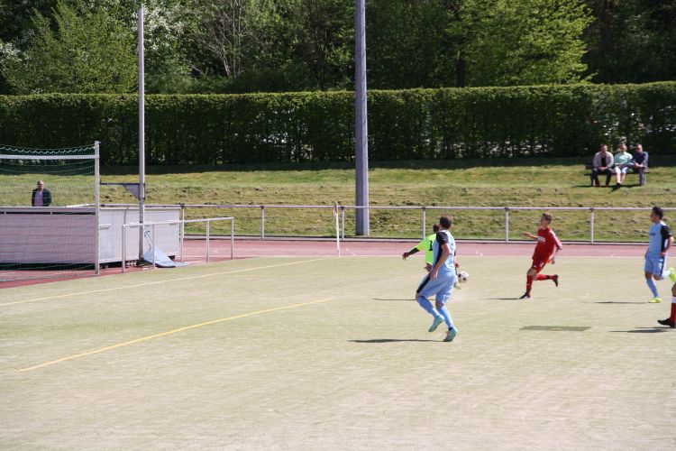 IMG 8827.JPG