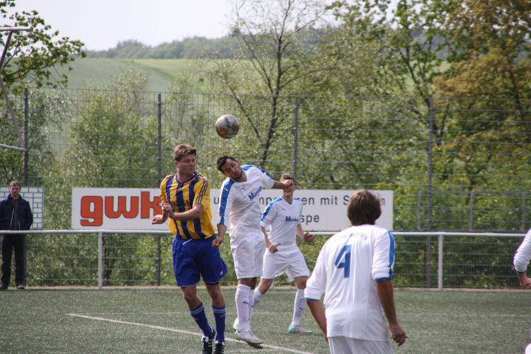 IMG 8881.JPG