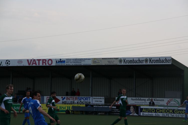 IMG 0237.JPG