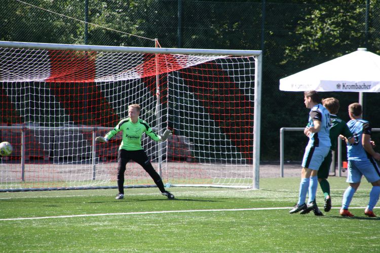 IMG 9223.JPG