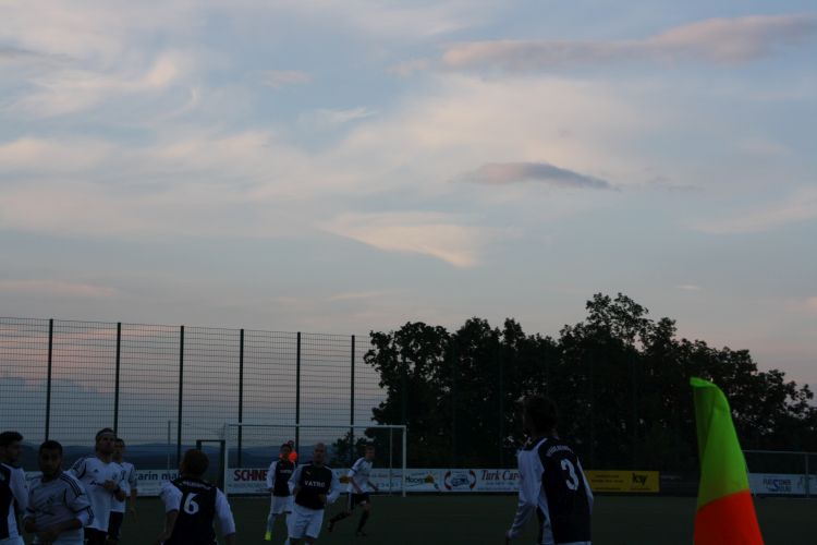 IMG 9232.JPG
