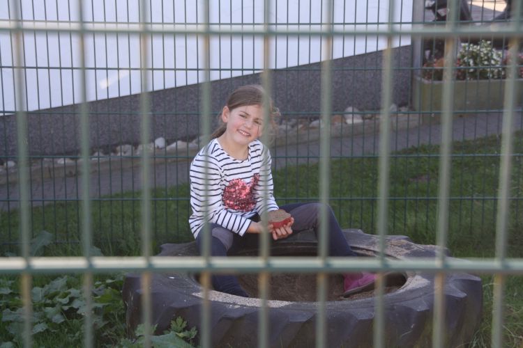 IMG 0623.JPG