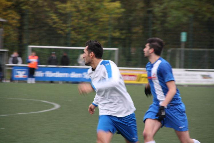 IMG 0706.JPG